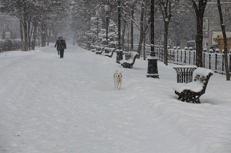 Сказочный Днепр: в город вернулась настоящая зима (ФОТО) 16