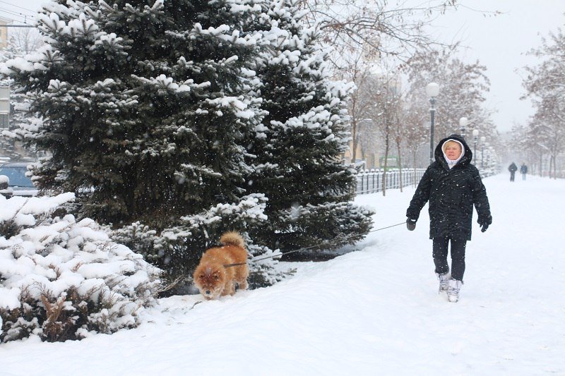 Сказочный Днепр: в город вернулась настоящая зима (ФОТО) 19