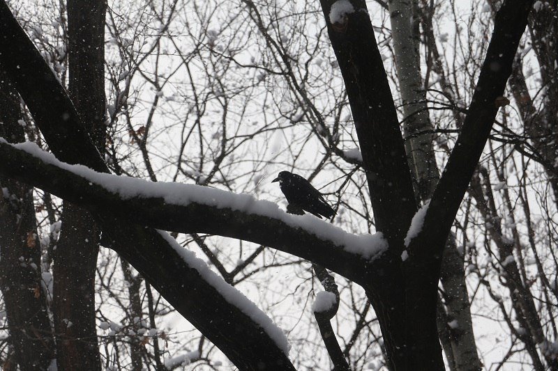 Сказочный Днепр: в город вернулась настоящая зима (ФОТО) 25