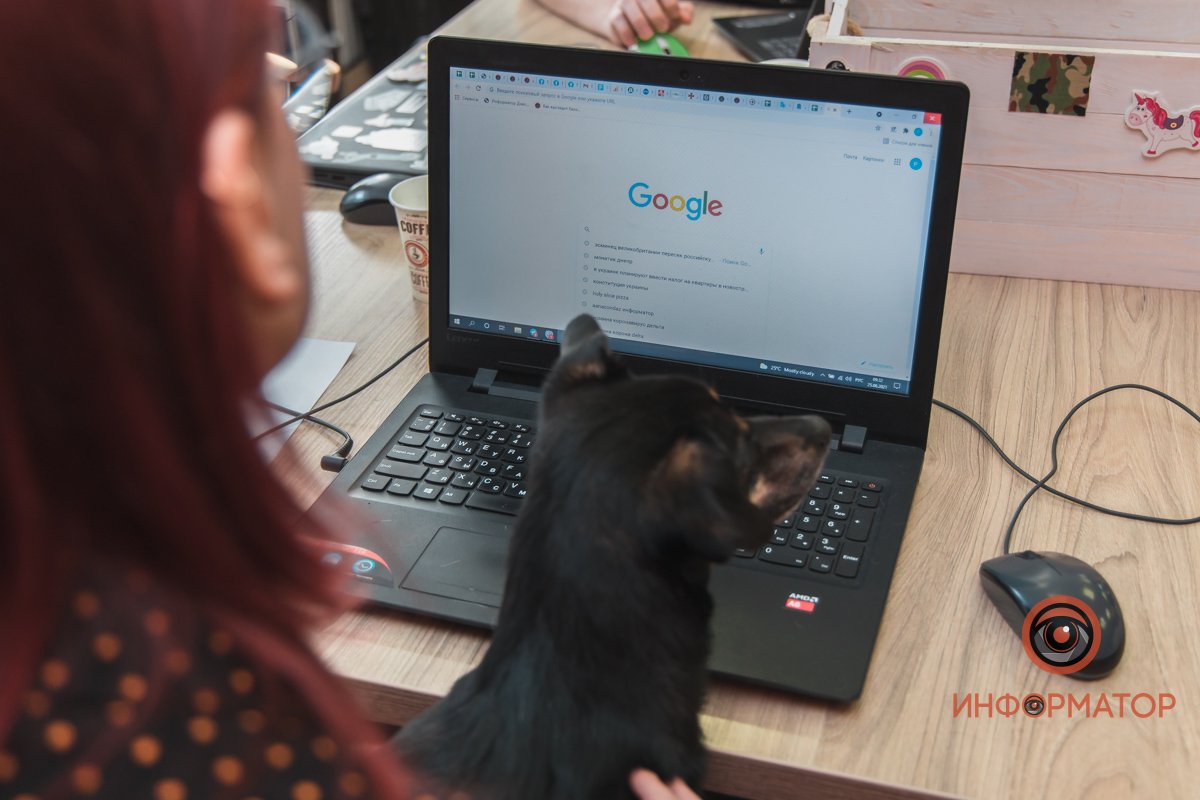 Окей, Гугл Окей, Гугл