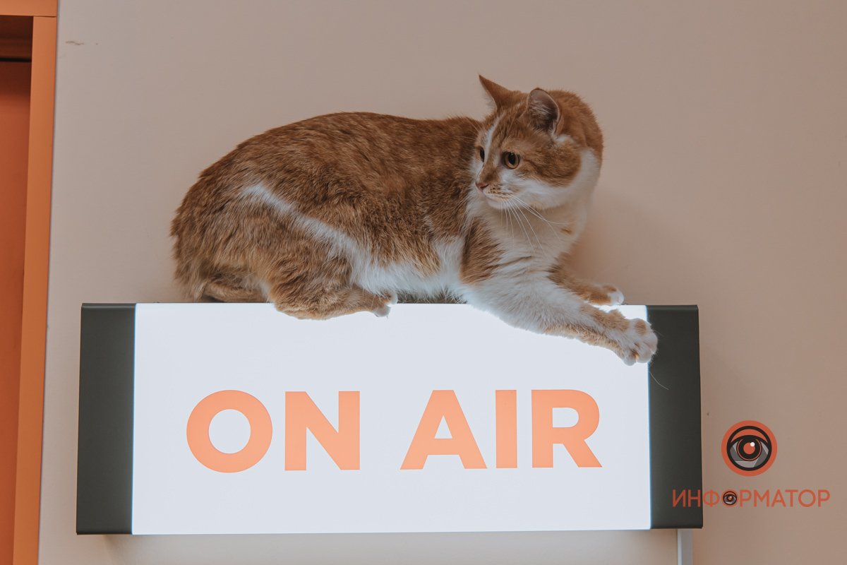 Молодой человек, у нас тут эфир, за дверкой подождите Молодой человек, у нас тут эфир, за дверкой подождите