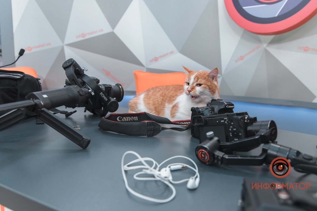 Выключи микрофон! Батарейку посадишь! Выключи микрофон! Батарейку посадишь!