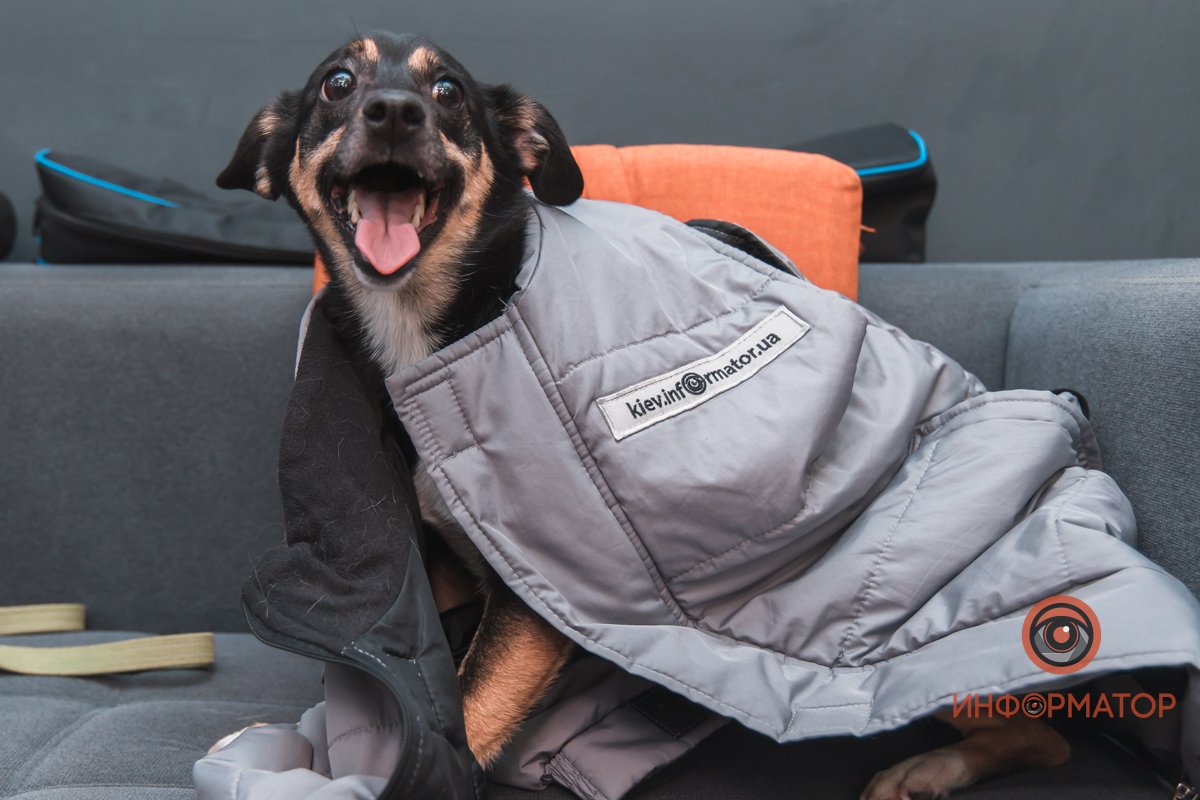 Как влитая Как влитая