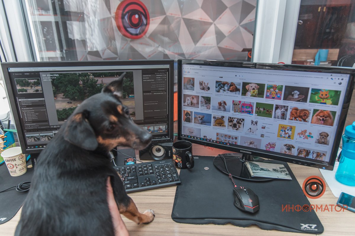 Ничего я не гуглил, само открылось! Ничего я не гуглил, само открылось!