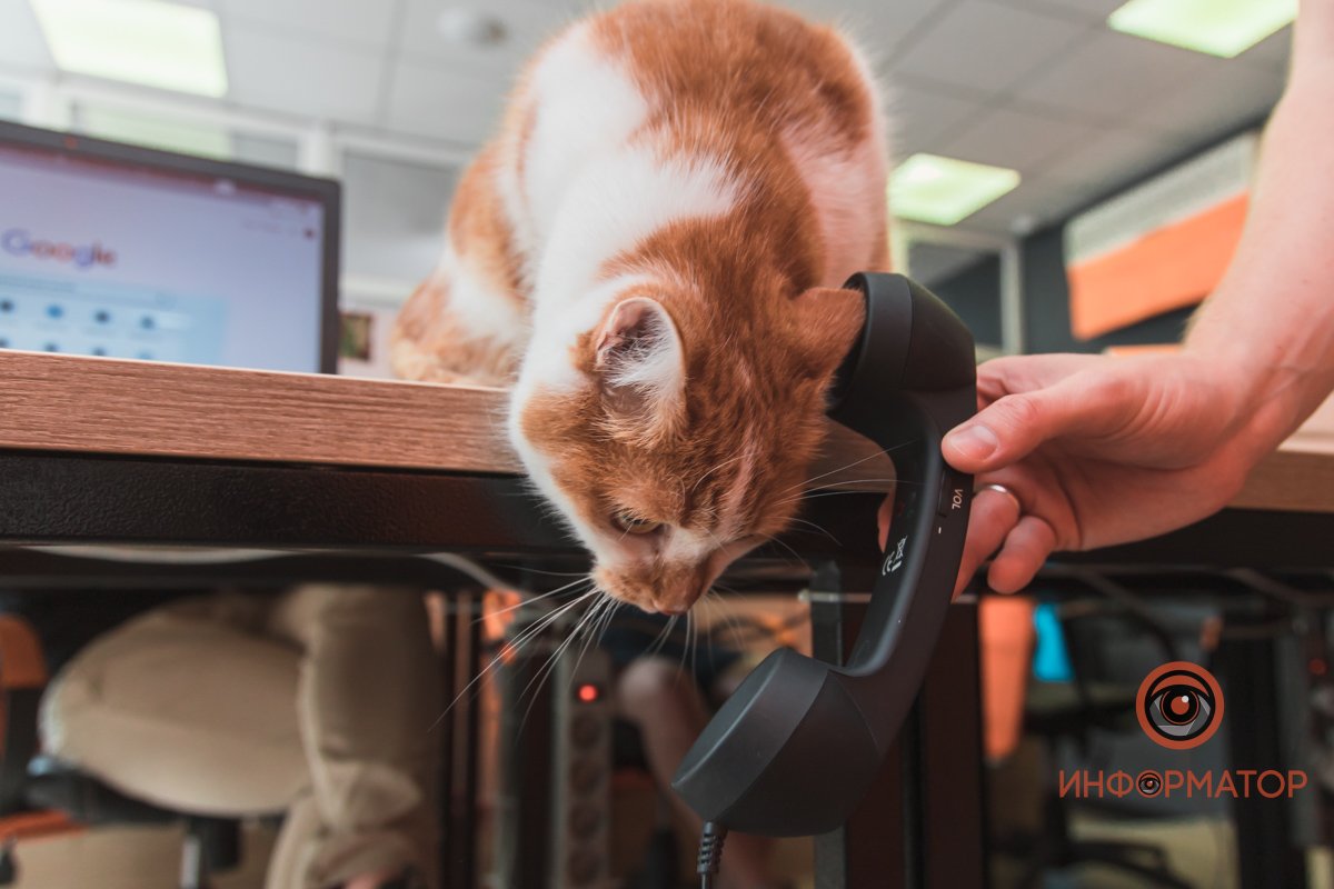 Нет, это не прачечная! Нет, это не прачечная!