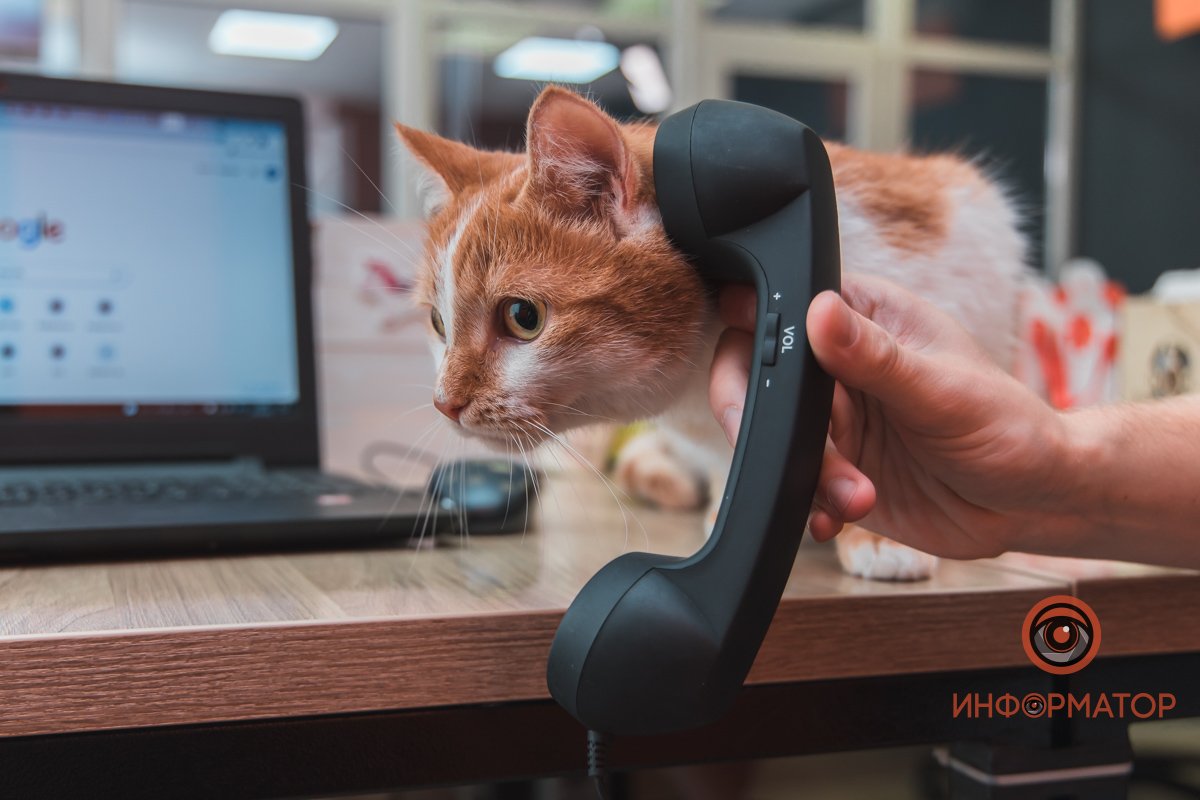 Не могу говорить, я на работе! Не могу говорить, я на работе!