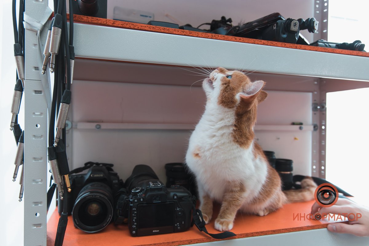 Ярик впечатлился штативом Ярик впечатлился штативом