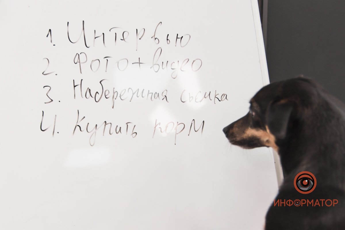 5. быть шикарным песелем 5. быть шикарным песелем