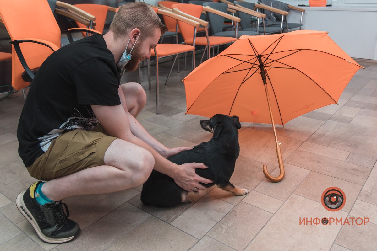 Когда отправляют снимать дождь Когда отправляют снимать дождь