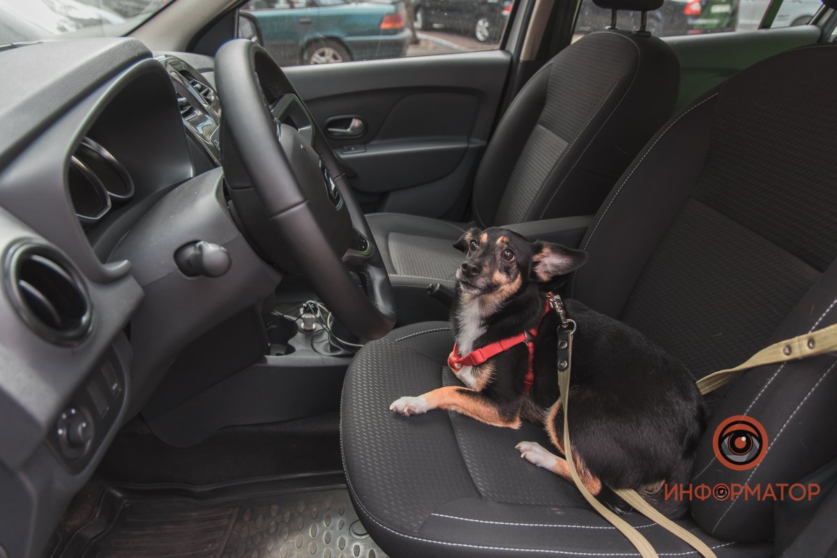 Надо ехать! Надо ехать!