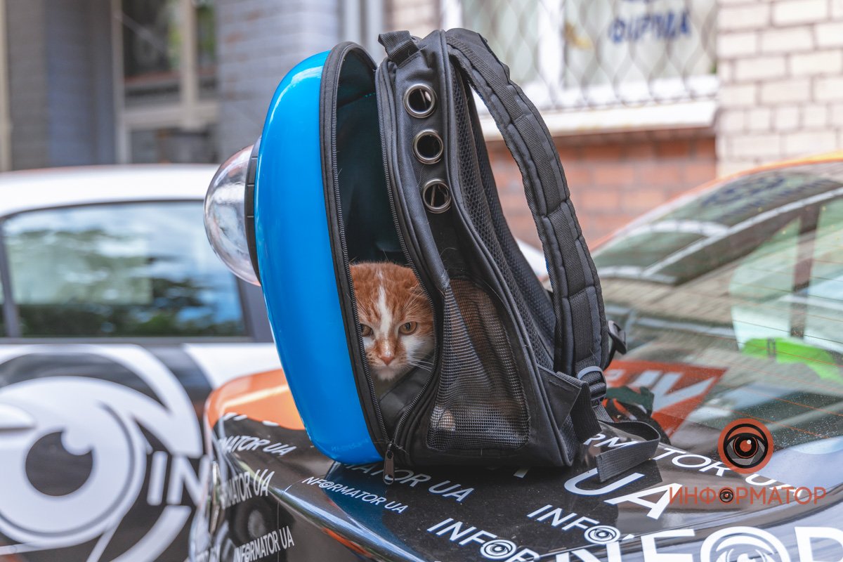 Работа вымотала Работа вымотала