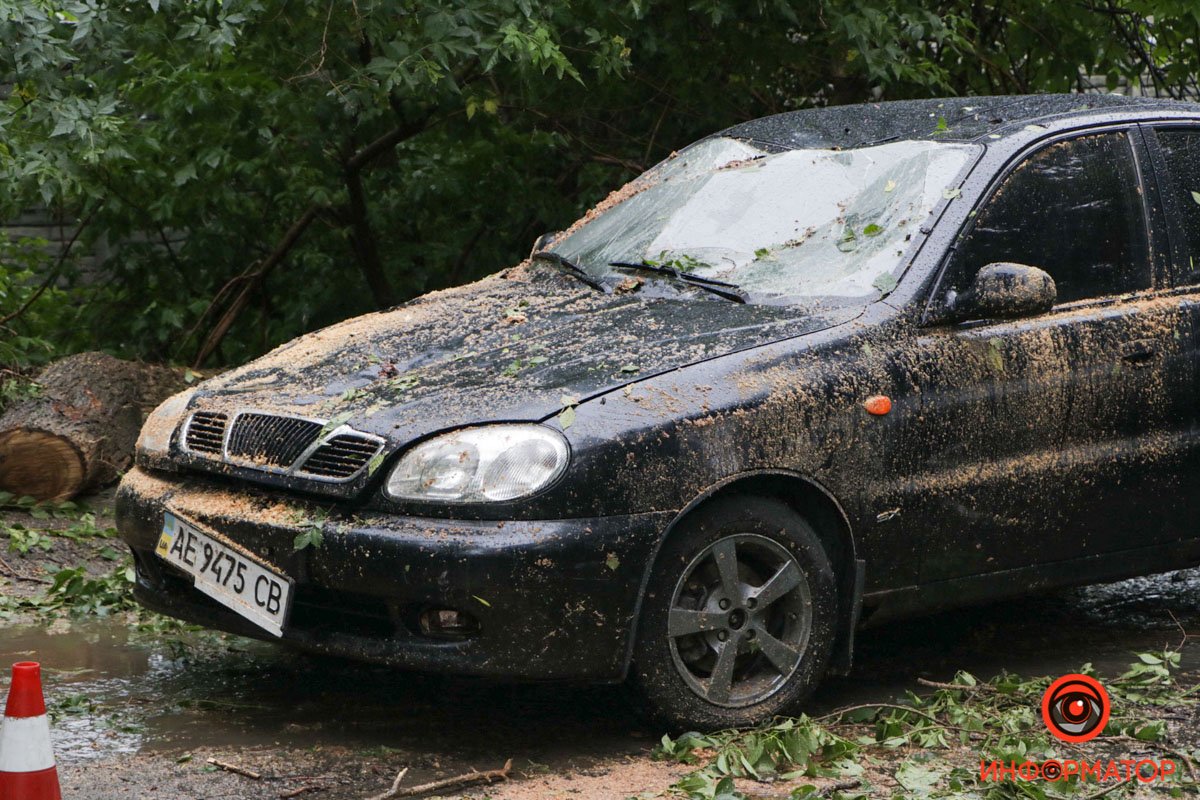 В Днепре на Каширской на Lanos упало дерево: проезд затруднен 1