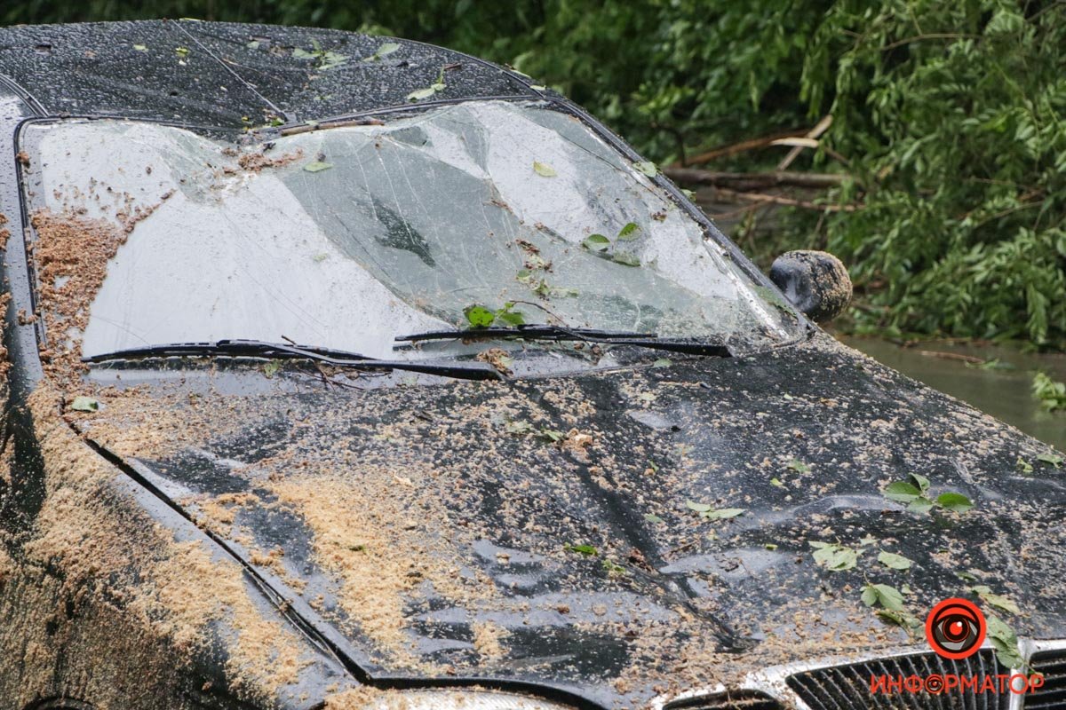 В Днепре на Каширской на Lanos упало дерево: проезд затруднен 2