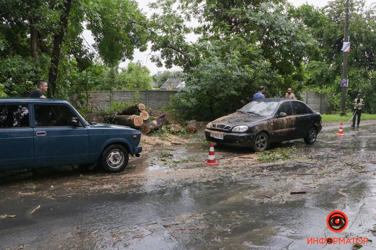 В Днепре на Каширской на Lanos упало дерево: проезд затруднен 4