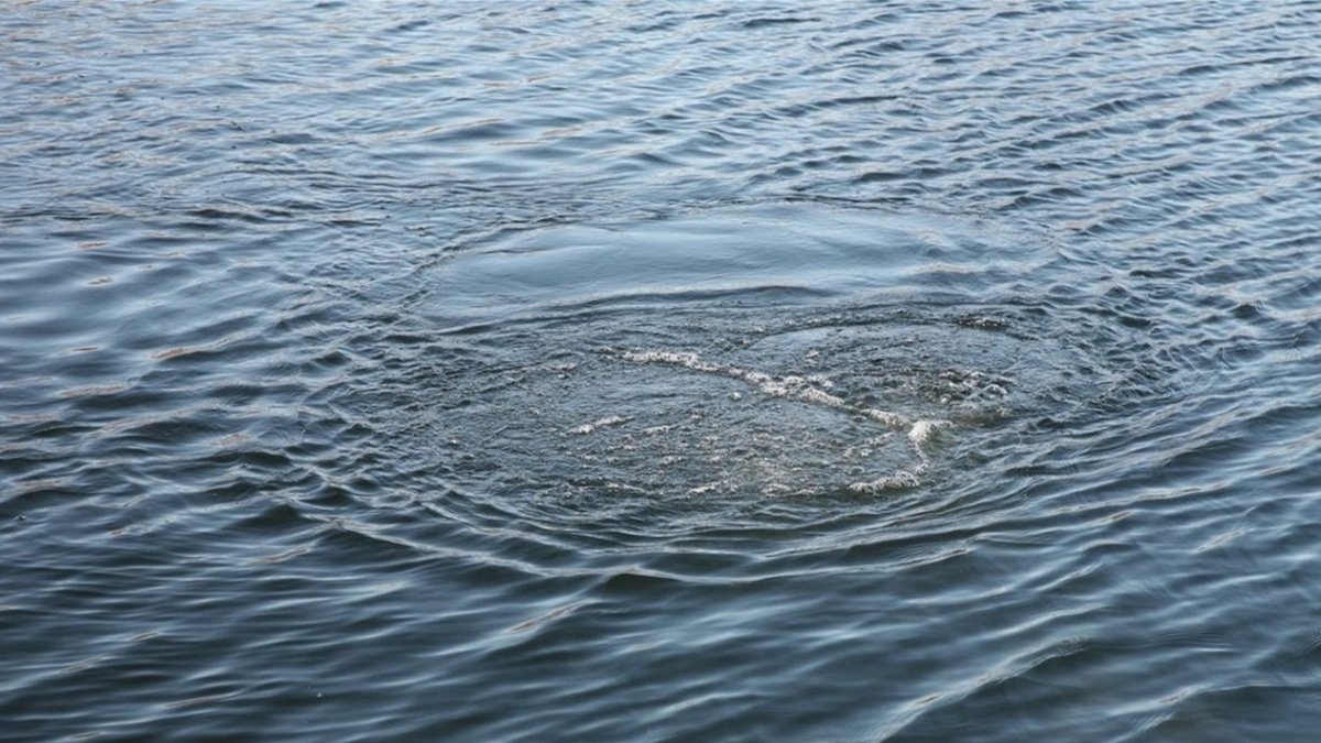 Ушел купаться и не вернулся: в Каменском утонул 26-летний парень