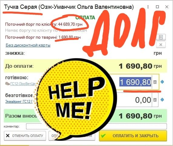 В Днепре кошку облили кислотой: помогите спасти 2