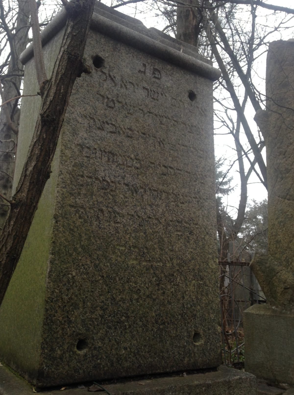 Количество мест ограничено Количество мест ограничено