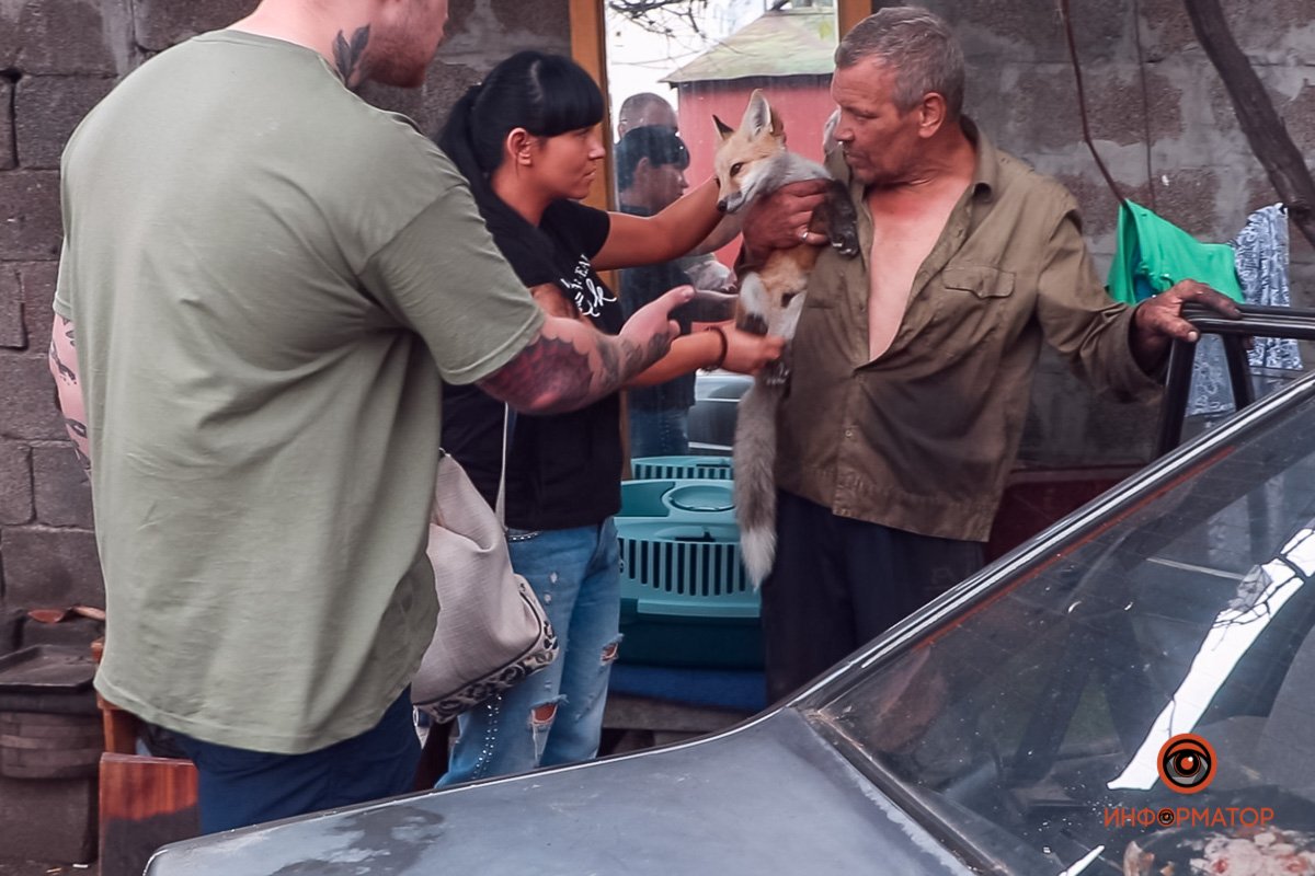 Рыжего отдавать не хотели