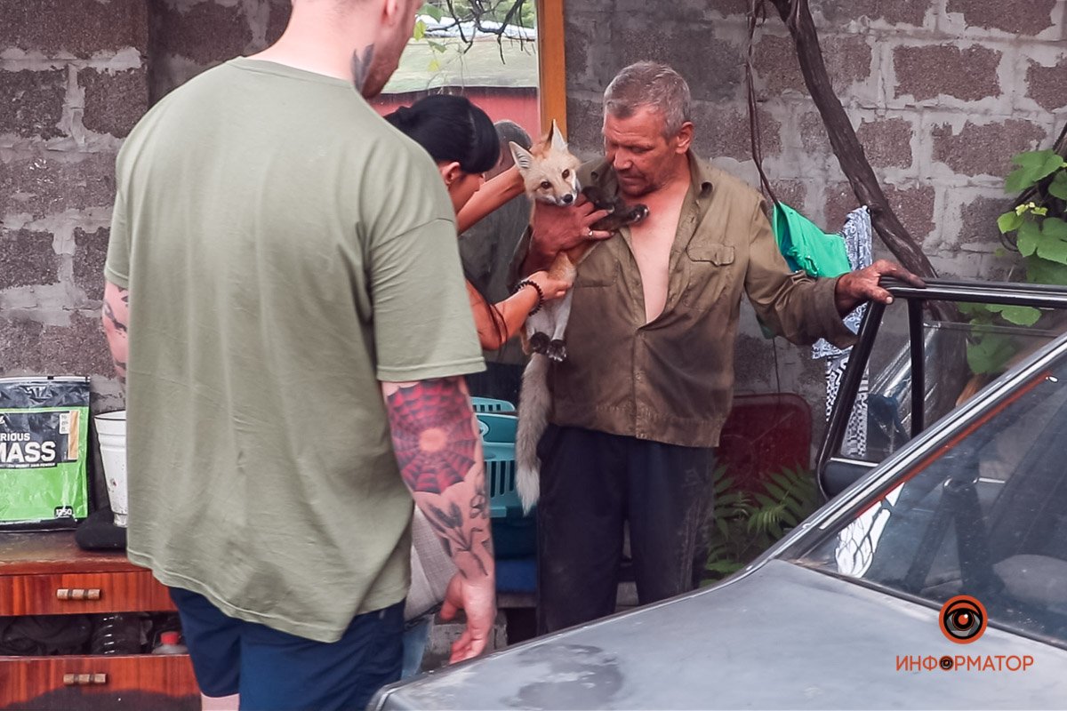 Хозяева лисят любили