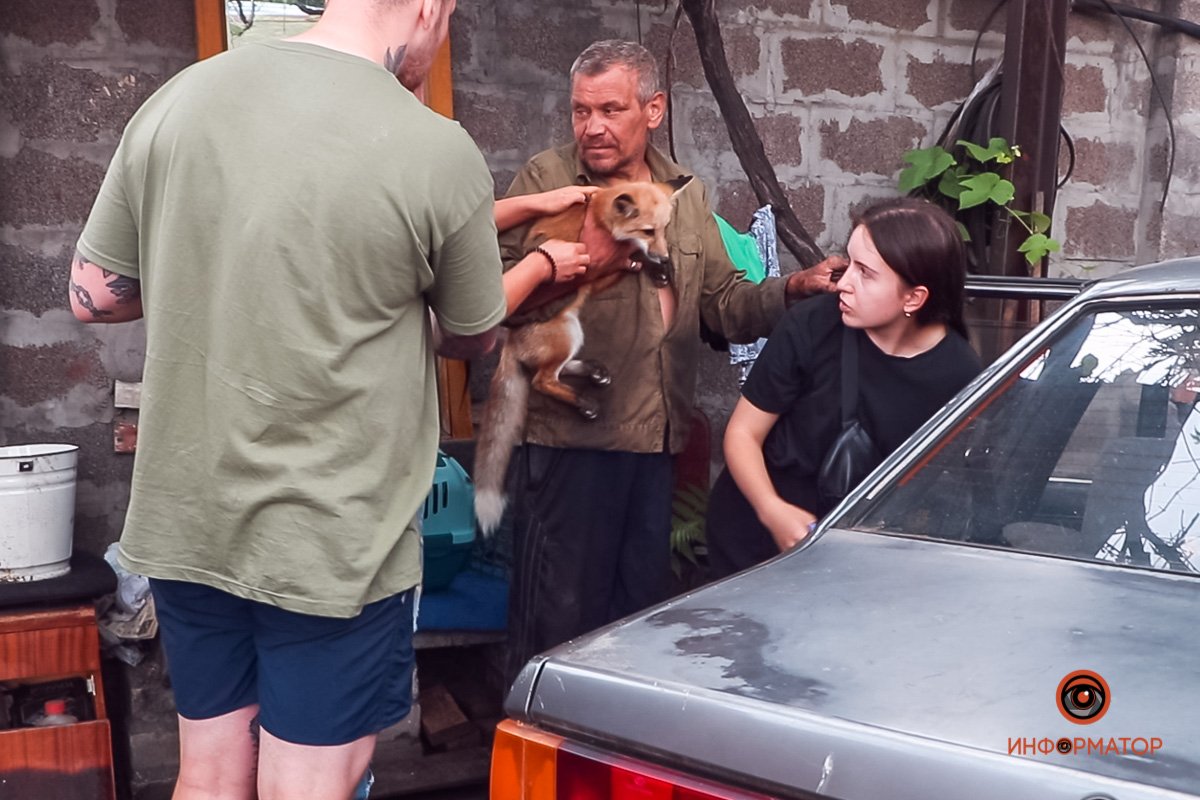 Люди до последнего не хотела отдавать животных