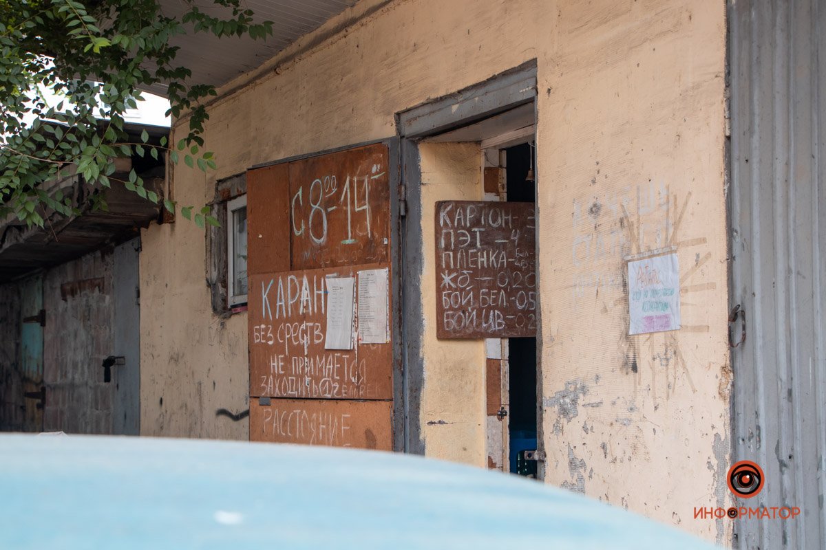 Лисят заметили местные жители