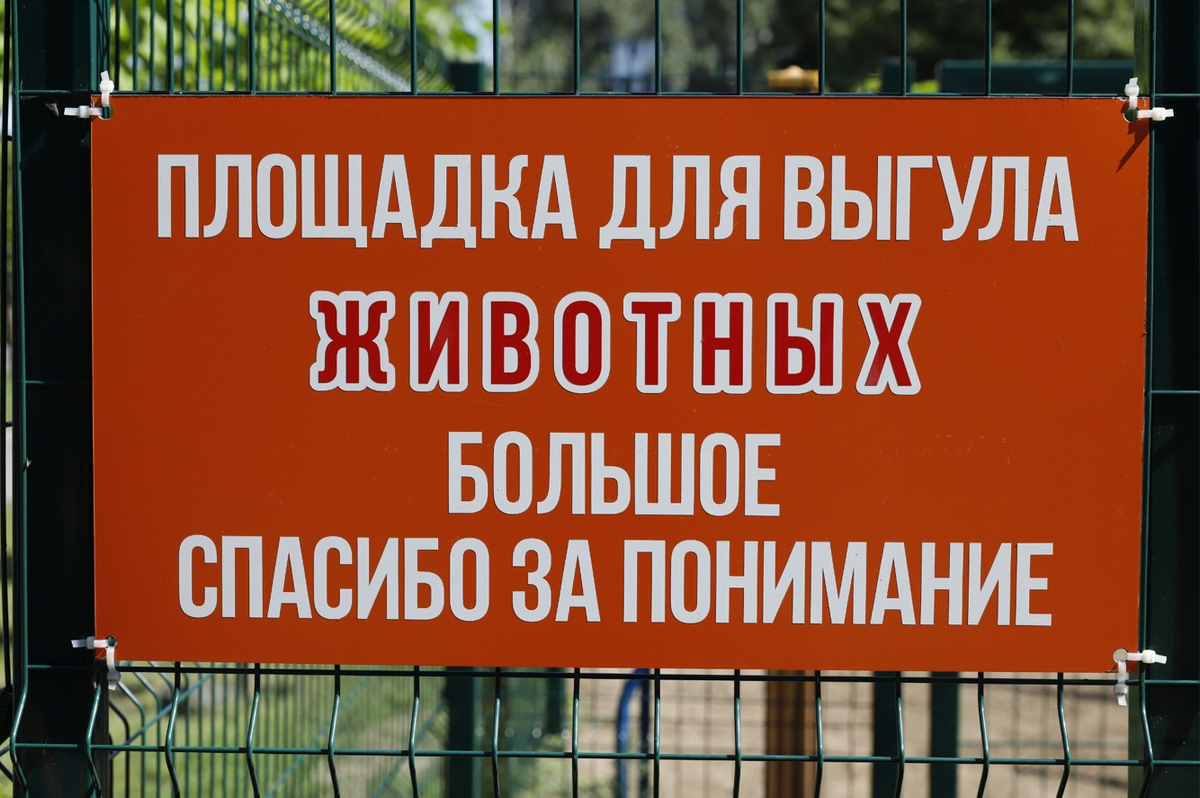 В Днепре построят ещё четыре площадки для выгула собак: где и когда 2