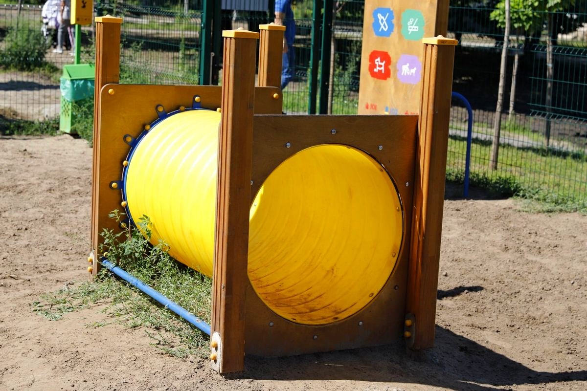 В Днепре построят ещё четыре площадки для выгула собак: где и когда 5