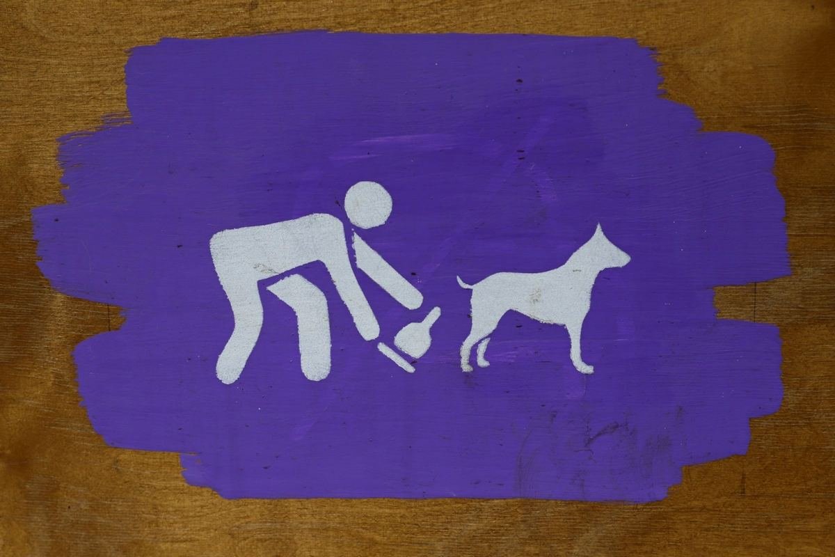 В Днепре построят ещё четыре площадки для выгула собак: где и когда 6