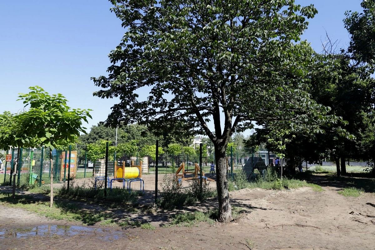 В Днепре построят ещё четыре площадки для выгула собак: где и когда 7