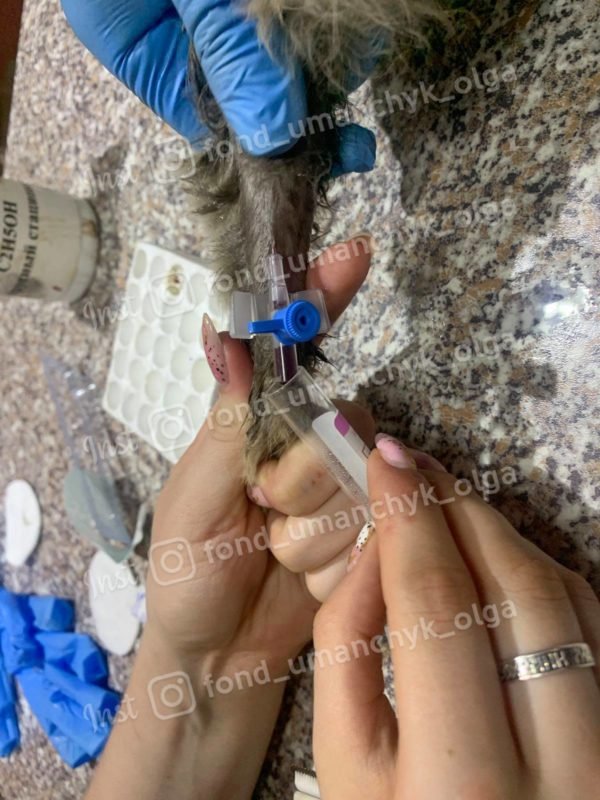 Без предоплаты хотя бы в 2000-3000 гривен лечение не начнут