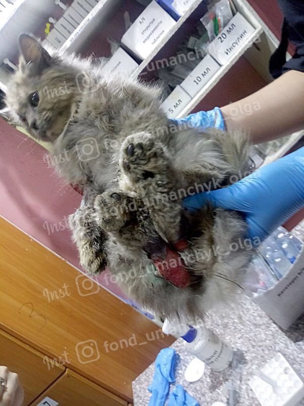 Времени осталось очень мало