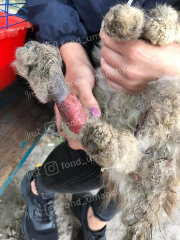 Помогите спасти