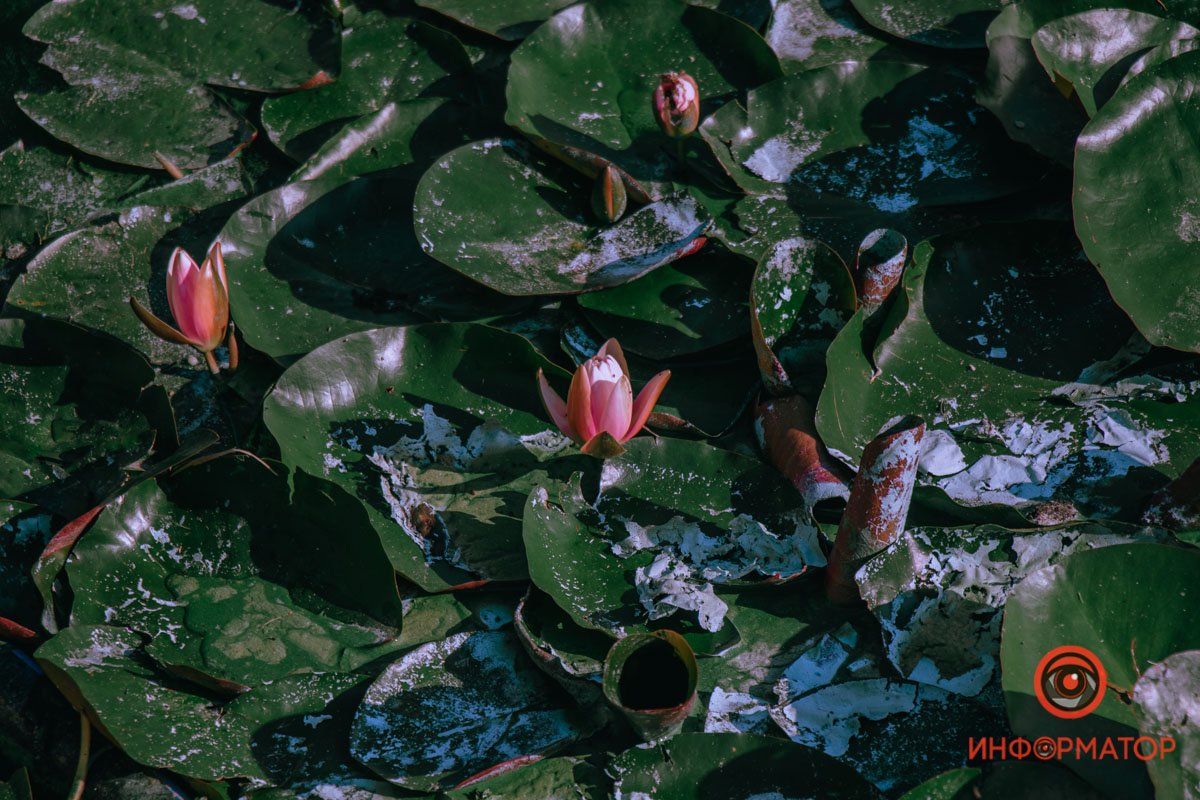 Очень стараются