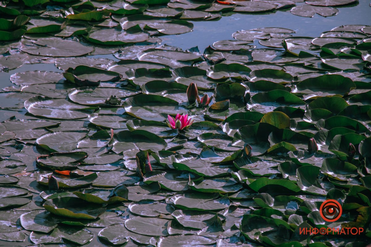 Возвышается