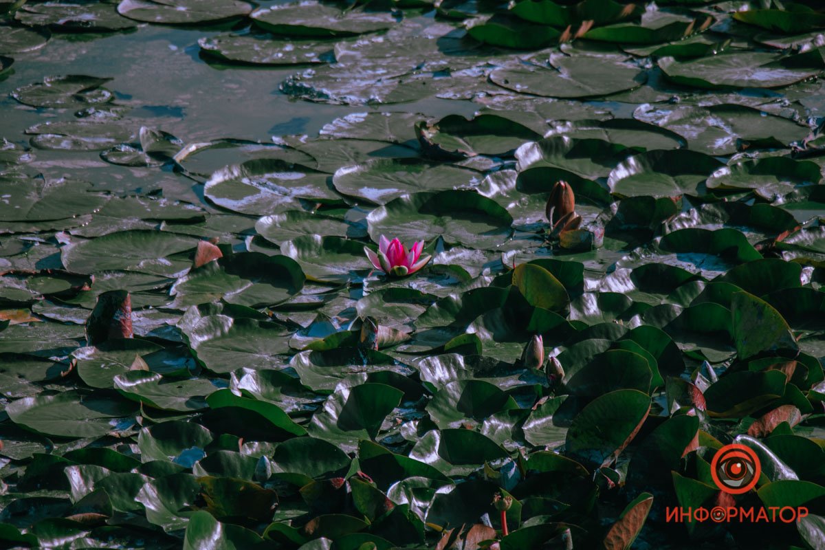 Невероятно красивы