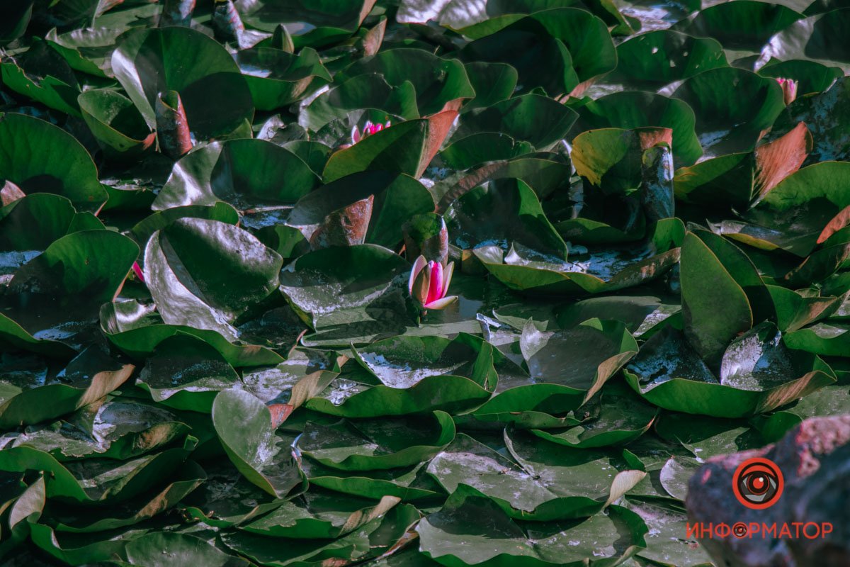 Средневековый символ