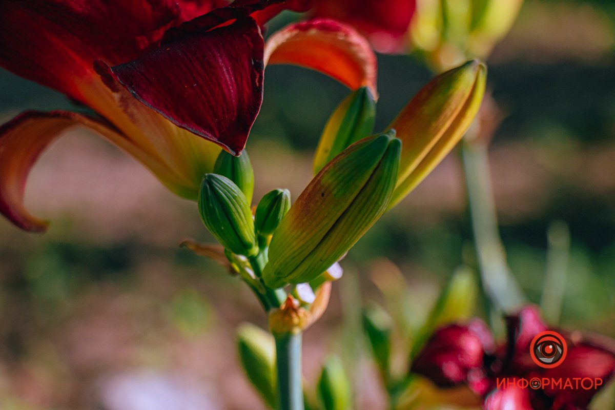 Останется память на холодные зимние вечера