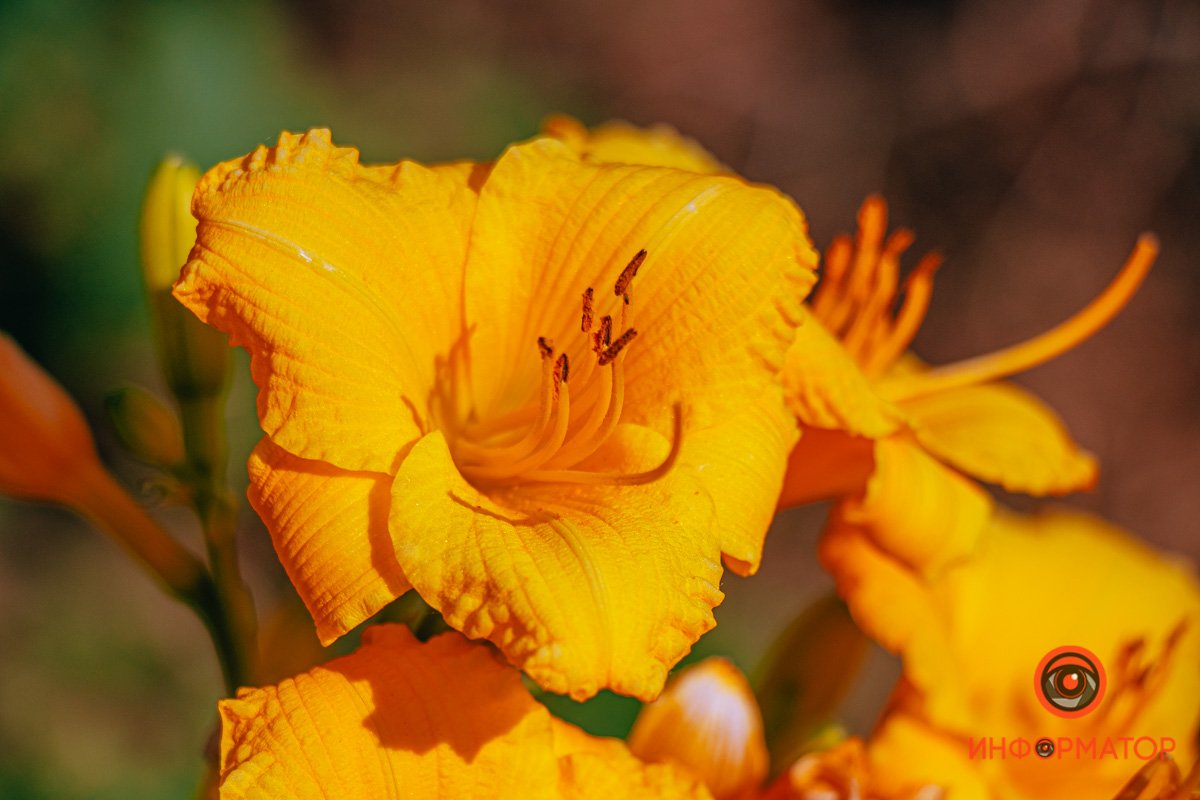 Зарядитесь позитивом