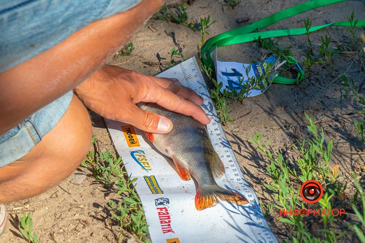 Хороший экземпляр