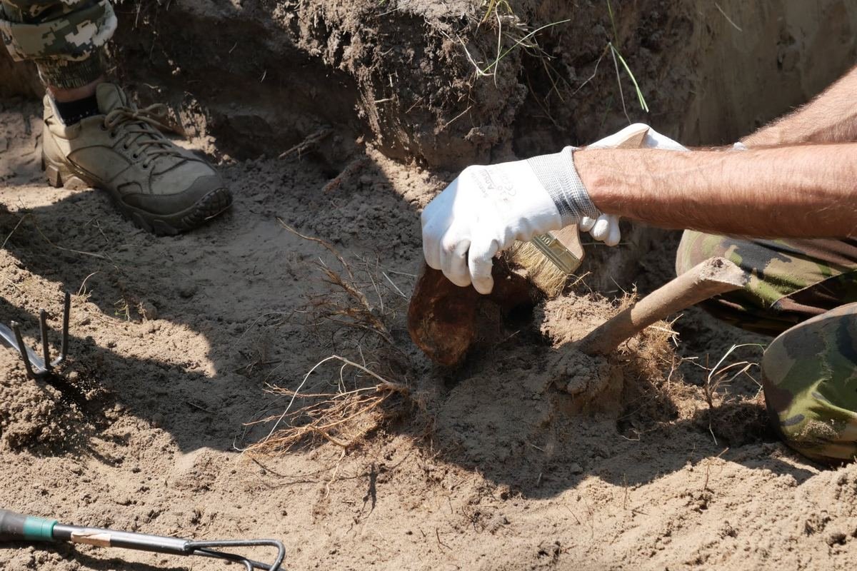 Все эти годы кости буквально находились на поверхности
