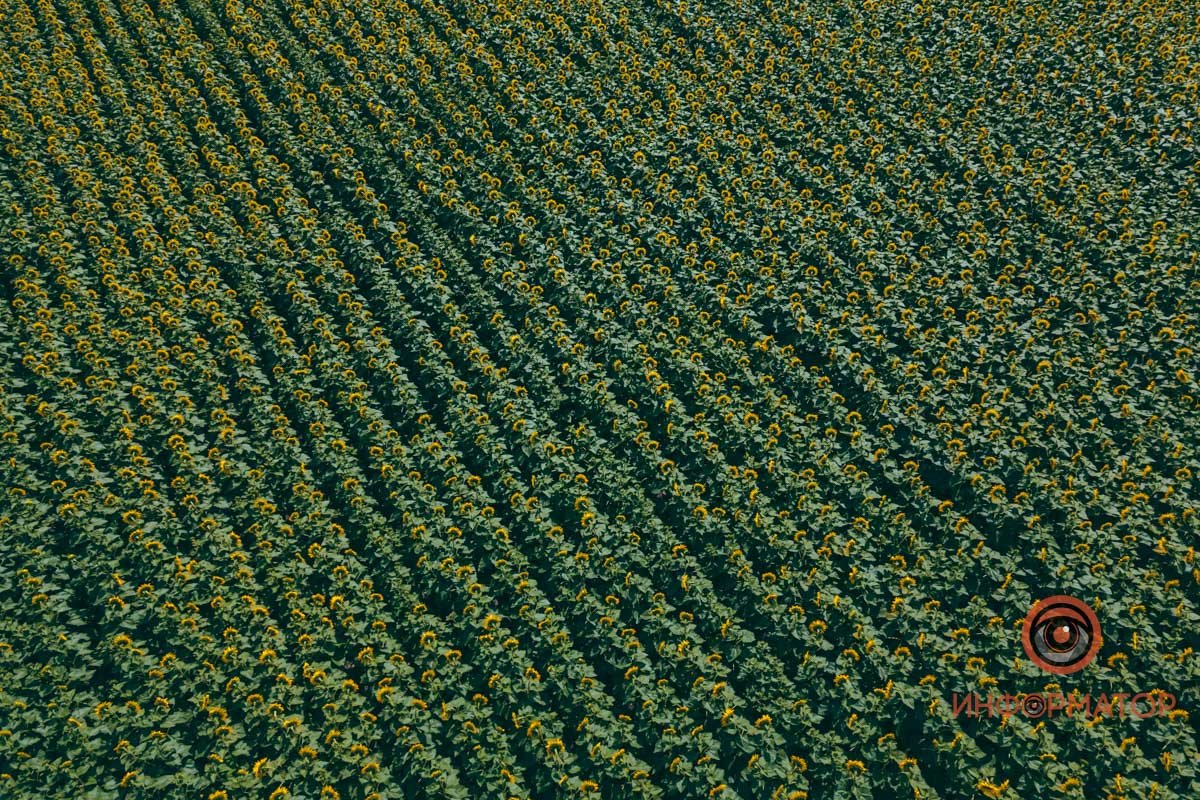 Заставка для вашего рабочего стола