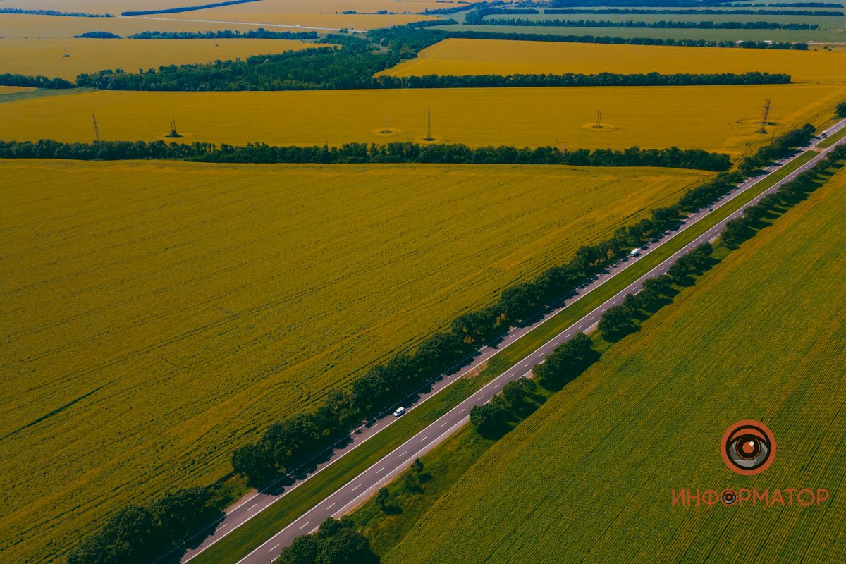 Просто посмотрите и расслабьтесь