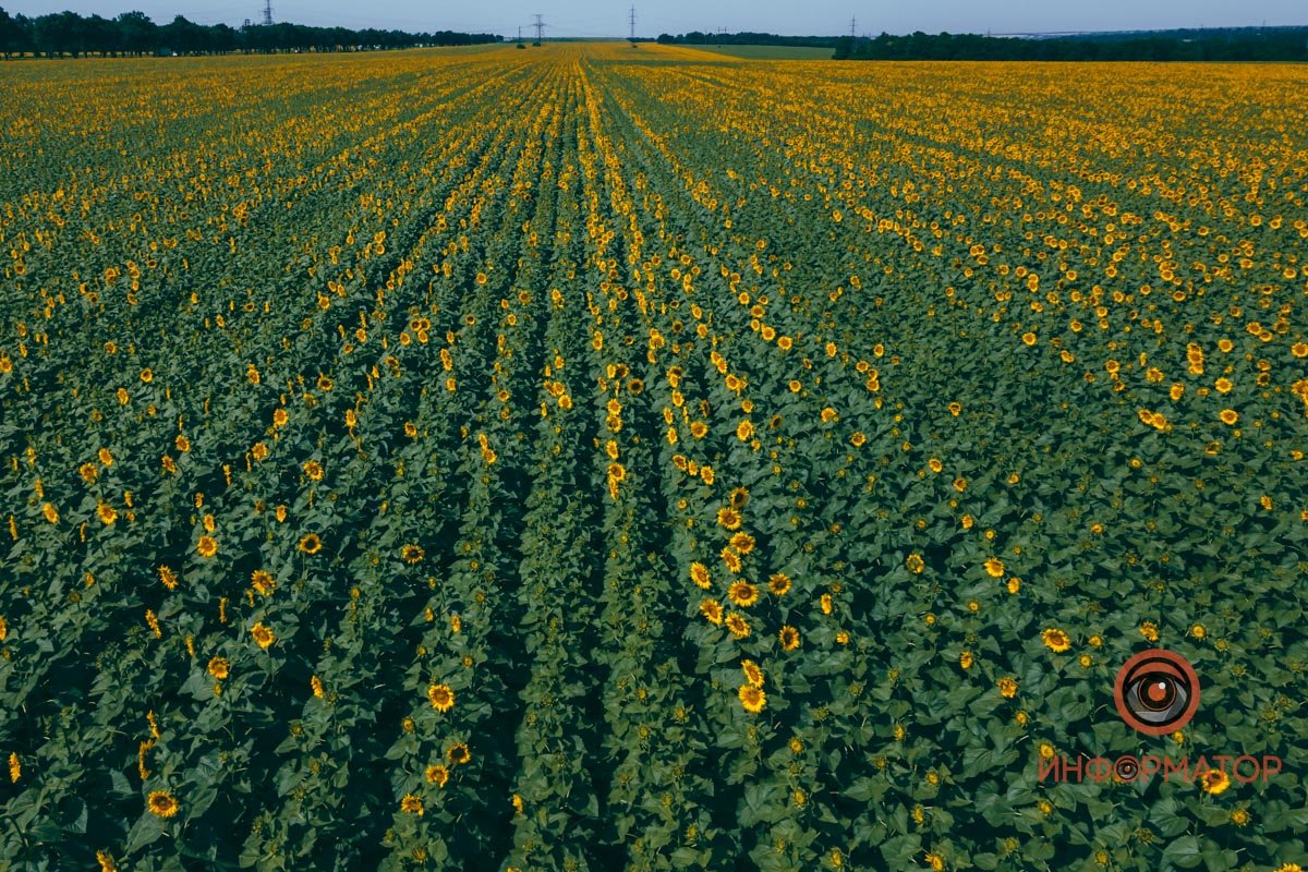 Срочно на заставку