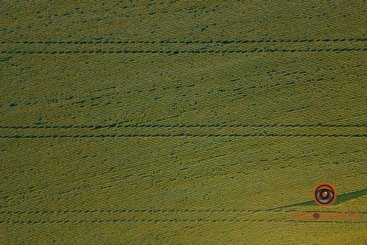 Будто плотная ткань