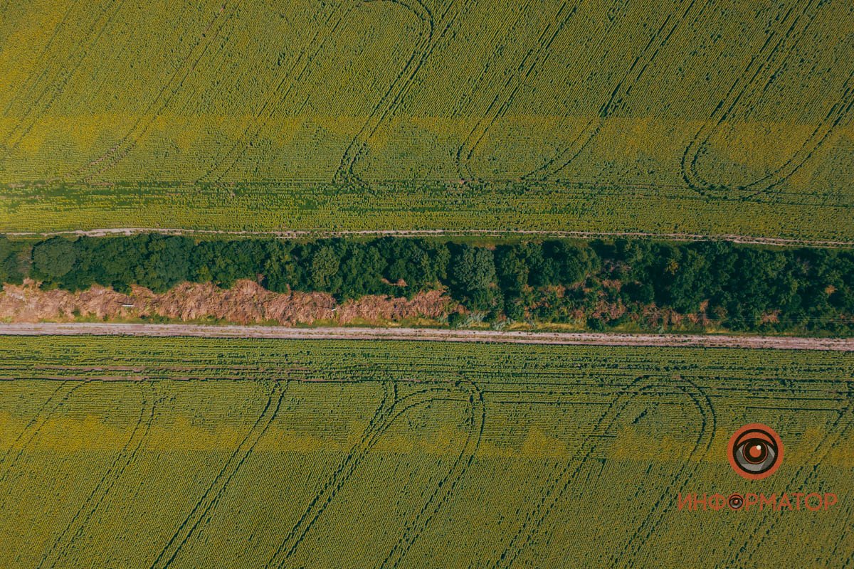 Расписывали ручку