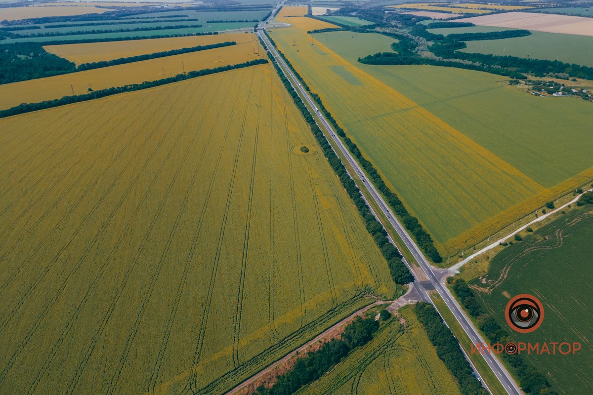 Наши коптеристы - красавчики