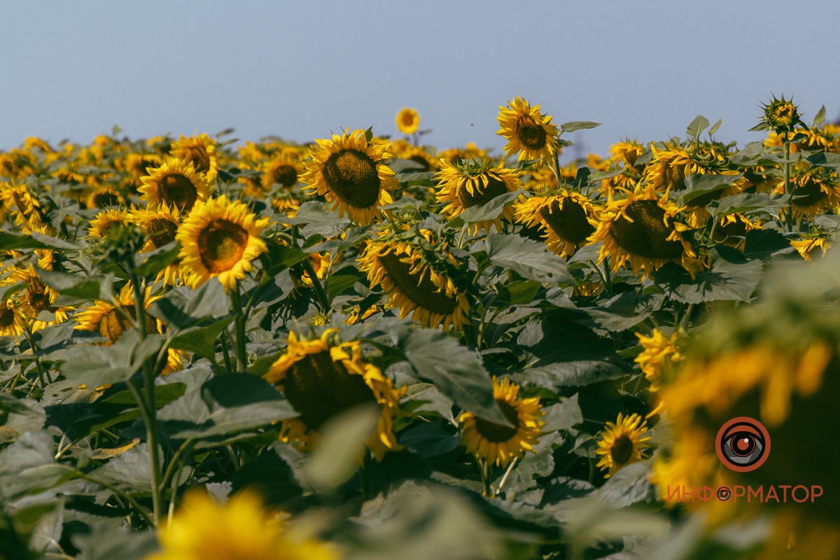 Украина - любовь