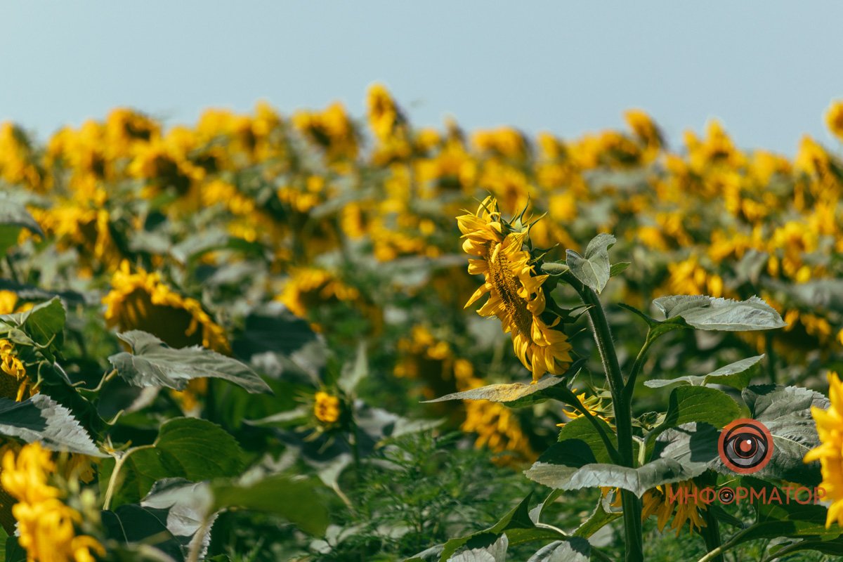 Фото: Денис Чубченко
