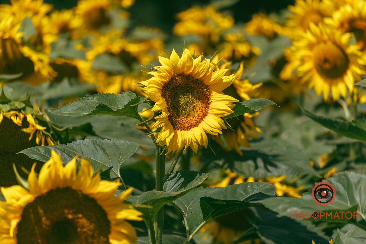 Больше фото