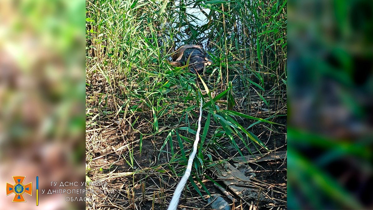 Тело выловили и передали полиции Тело выловили и передали полиции